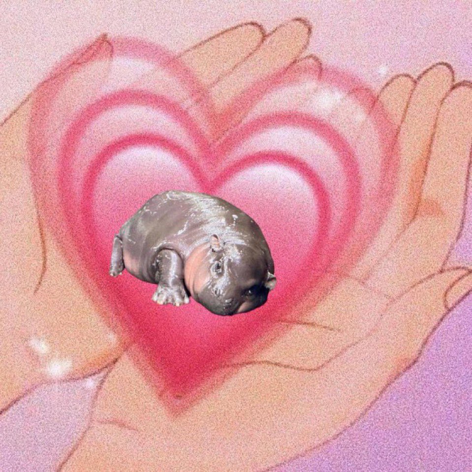 <a href="/toppjirayut/">ToppJirayut™</a> <a href="/toppjirayut/">ToppJirayut™</a> I got something for you 🦛💗🌸