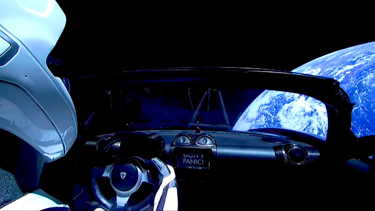 Federico Pecoraro tweet media