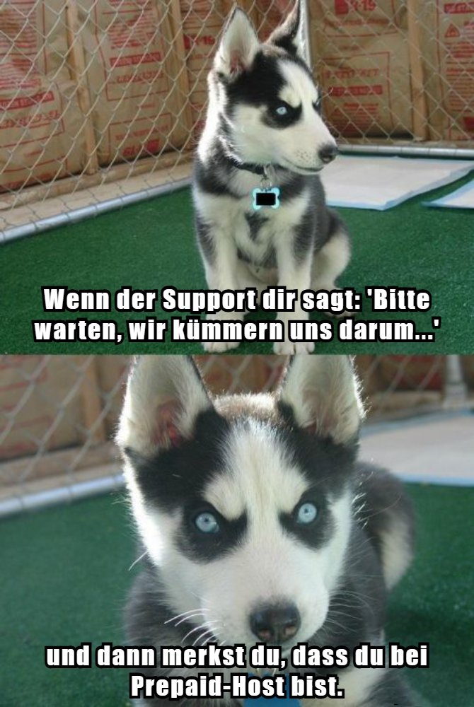Support, der wirklich reagiert?
Da haben wir nicht nur Worte, sondern direkt die Lösung parat! 🚀🐾
#MemeMonday #PrepaidHost