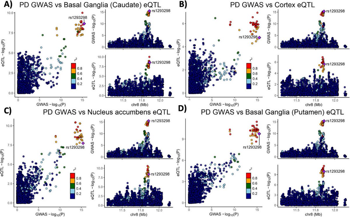 New paper from <a href="/jace_jt/">Jace Jones-Tabah</a> &amp; colleagues reports reduction of cathepsin B function negatively impacts lysosomal pathways associated with #Parkinsons pathogenesis, while conversely cathepsin B activation could promote the clearance of pathogenic alpha-synuclein
…arneurodegeneration.biomedcentral.com/articles/10.11…