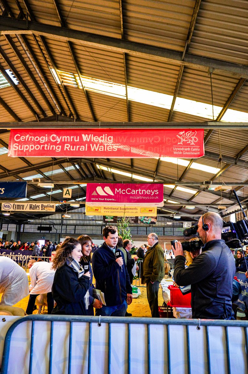 Y Sioe (@s4csioe) on Twitter photo 🐂 Ry'n ni'n FYW o'r #FfairAeaf ar <a href="/S4C/">S4C 🏴</a> o 10:00-16:00
📺 Gwyliwch ar S4C, Clic, Facebook, BBC iPlayer a Youtube - manylion ar s4c.cymru/ffairaeaf
🐂We're LIVE from the <a href="/royalwelshshow/">Royal Welsh Agricultural Society</a> #WinterFair!
📺 <a href="/S4C/">S4C 🏴</a>, Clic, Facebook, iPlayer or Youtube - details s4c.cymru/ffairaeaf 🐂 Ry'n ni'n FYW o'r #FfairAeaf ar <a href="/S4C/">S4C 🏴</a> o 10:00-16:00
📺 Gwyliwch ar S4C, Clic, Facebook, BBC iPlayer a Youtube - manylion ar s4c.cymru/ffairaeaf
🐂We're LIVE from the <a href="/royalwelshshow/">Royal Welsh Agricultural Society</a> #WinterFair!
📺 <a href="/S4C/">S4C 🏴</a>, Clic, Facebook, iPlayer or Youtube - details s4c.cymru/ffairaeaf