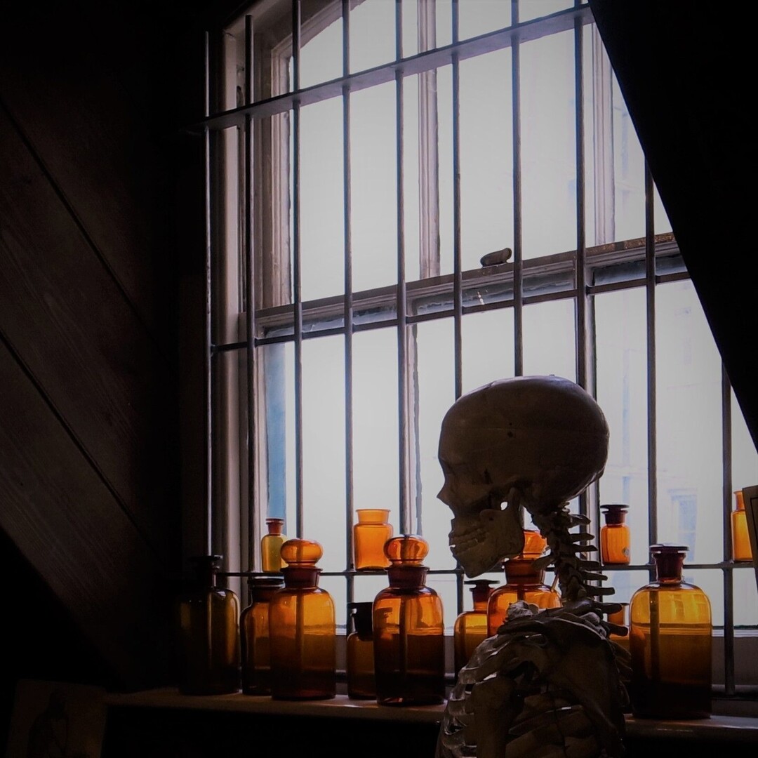 Get ready for a moody November #MondayChallenge! 🧩 This week’s puzzle is a striking view of our anatomy bay window, featuring our ever-watchful skeleton, Mildred, and a row of dark, polished apothecary bottles. With the autumn light casting a subtle glo… instagr.am/p/DCykHDQPtsd/