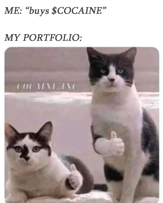 Don't be a fool chasing the price during a bull run – fill your bags now while $COCAINE is still cheap.