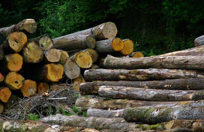 Gouvernance de la filière #forêt-#bois: les discussions avancent forestopic.com/fr/en-bref/181…