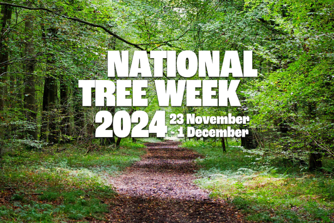 🌳🌟 It's National Tree Week! 🌟🌳

At Wagner Renewables, we plant a tree in the National Forest for every solar PV installation – nearly 350 trees so far! 🌱

Go solar &amp; grow a greener future! 🌍
👉 wagner-renewables.com/news/celebrati…
#NationalTreeWeek #TreePlanting #GoGreen