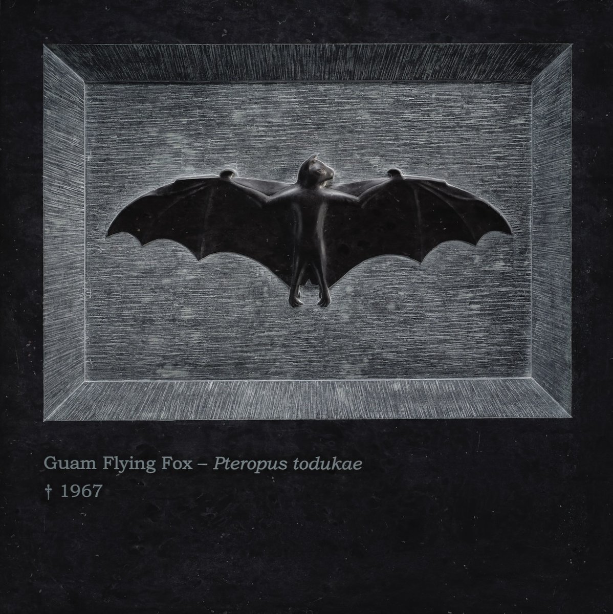 OliverSearsGallery tweet media