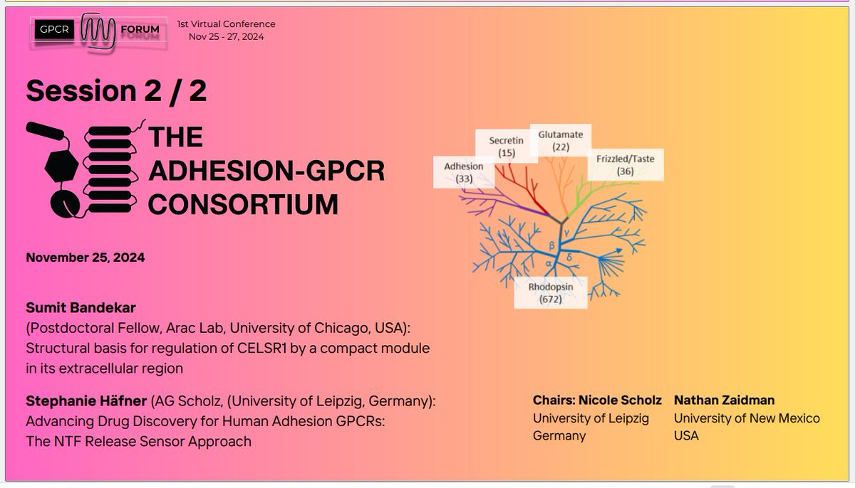 Today is the day!
The 1st GPCR Forum virtual meeting starts in a few hours. 
We will start with the ONCORNET2.0 consortium at 2 pm CET and continue with the adhesion GPCRs 
at 5 pm.
Check the program online: gpcrforum.org/events/gpcrfor…