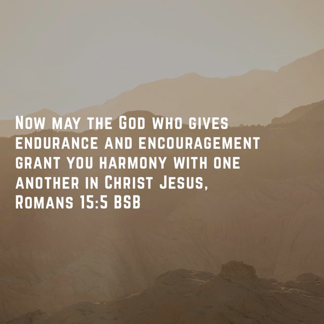 MochaChowder's tweet image. 