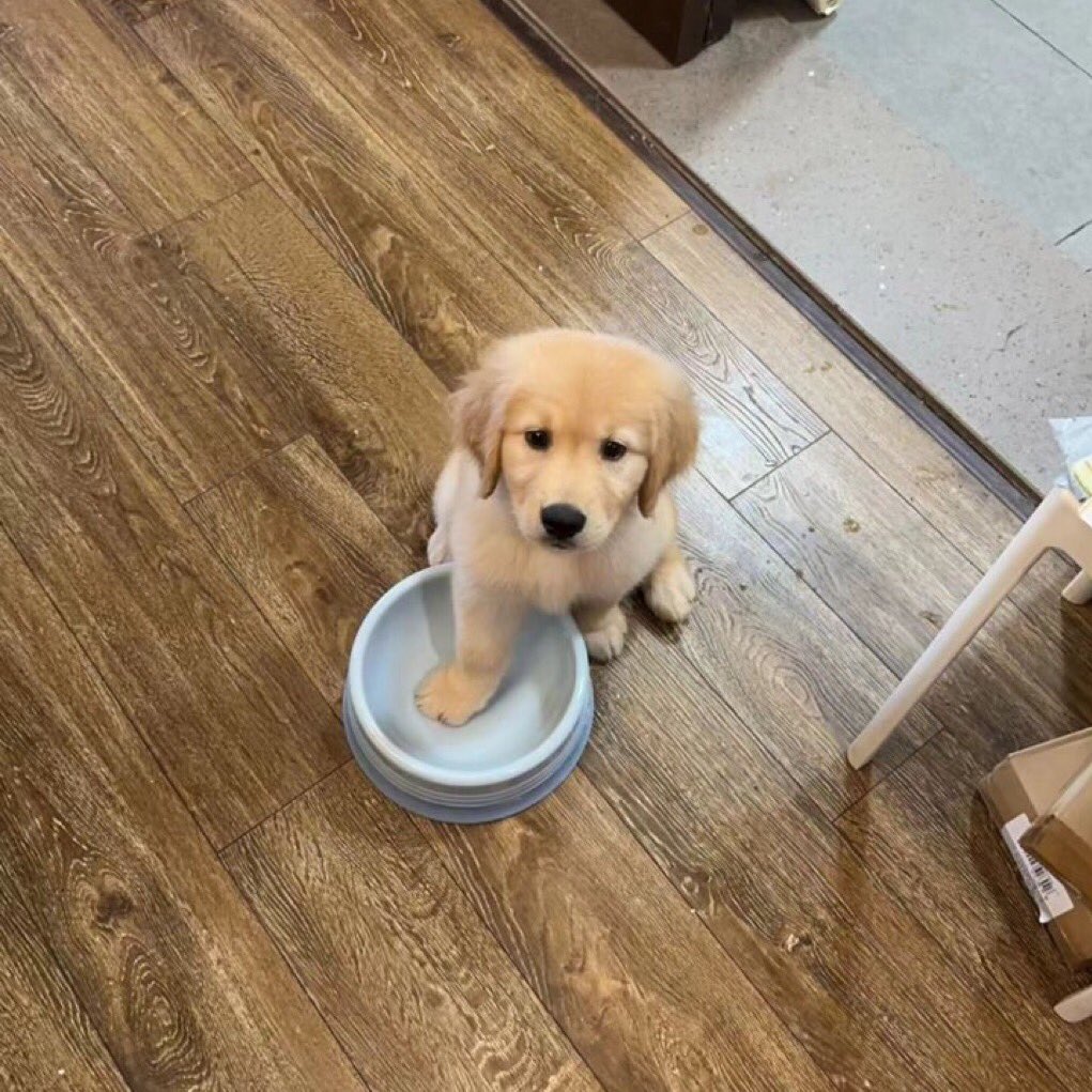takemybear 🐶 tweet media