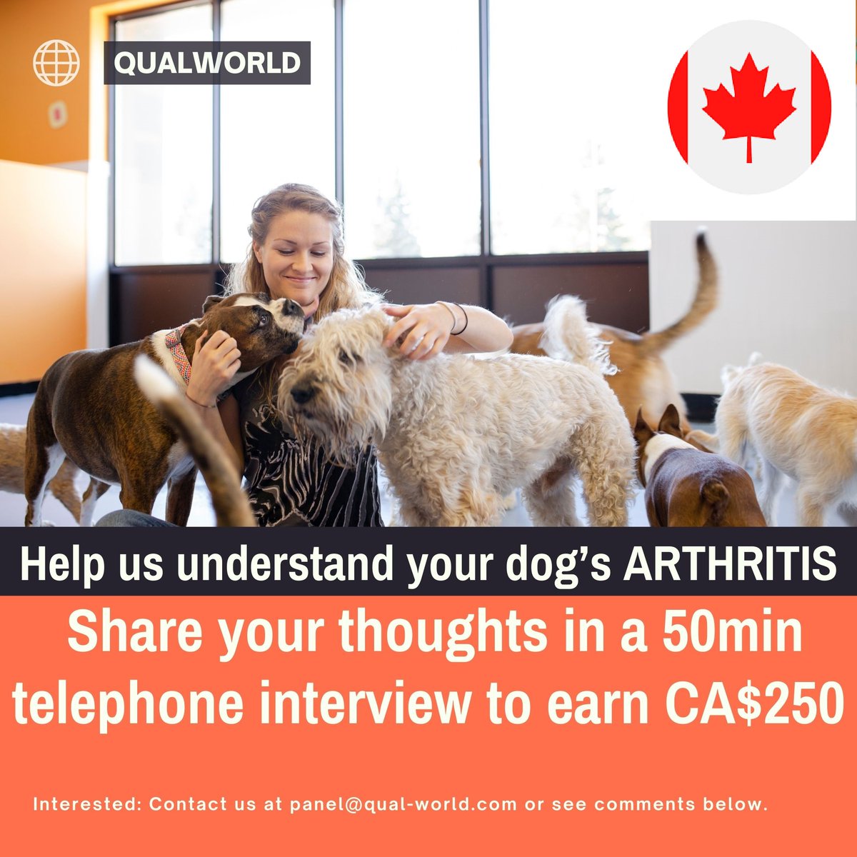 QualWorld's tweet photo. 🐾 Hello Canadian Dog Owners! 🐾
Does your dog struggle with arthritis, osteoarthritis or joint pain? We want to hear from YOU!🐕 Let us know how osteoarthritis affects your dog's daily life.
📧 To participate in our 50 min telephone survey
👉 DM us or email panel@qual-world.com https://t.co/UvKIQFe8B9