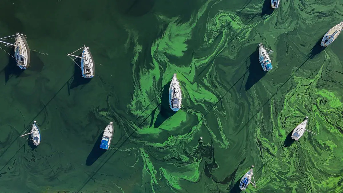 Leigh Day (@leighday_law) on Twitter photo Ben West and <a href="/FEHuddleston/">Fiona Huddleston</a> discuss latest reports about pollution affecting Windermere, England’s largest lake leighdaylaw.info/3B0zB0z Ben West and <a href="/FEHuddleston/">Fiona Huddleston</a> discuss latest reports about pollution affecting Windermere, England’s largest lake leighdaylaw.info/3B0zB0z