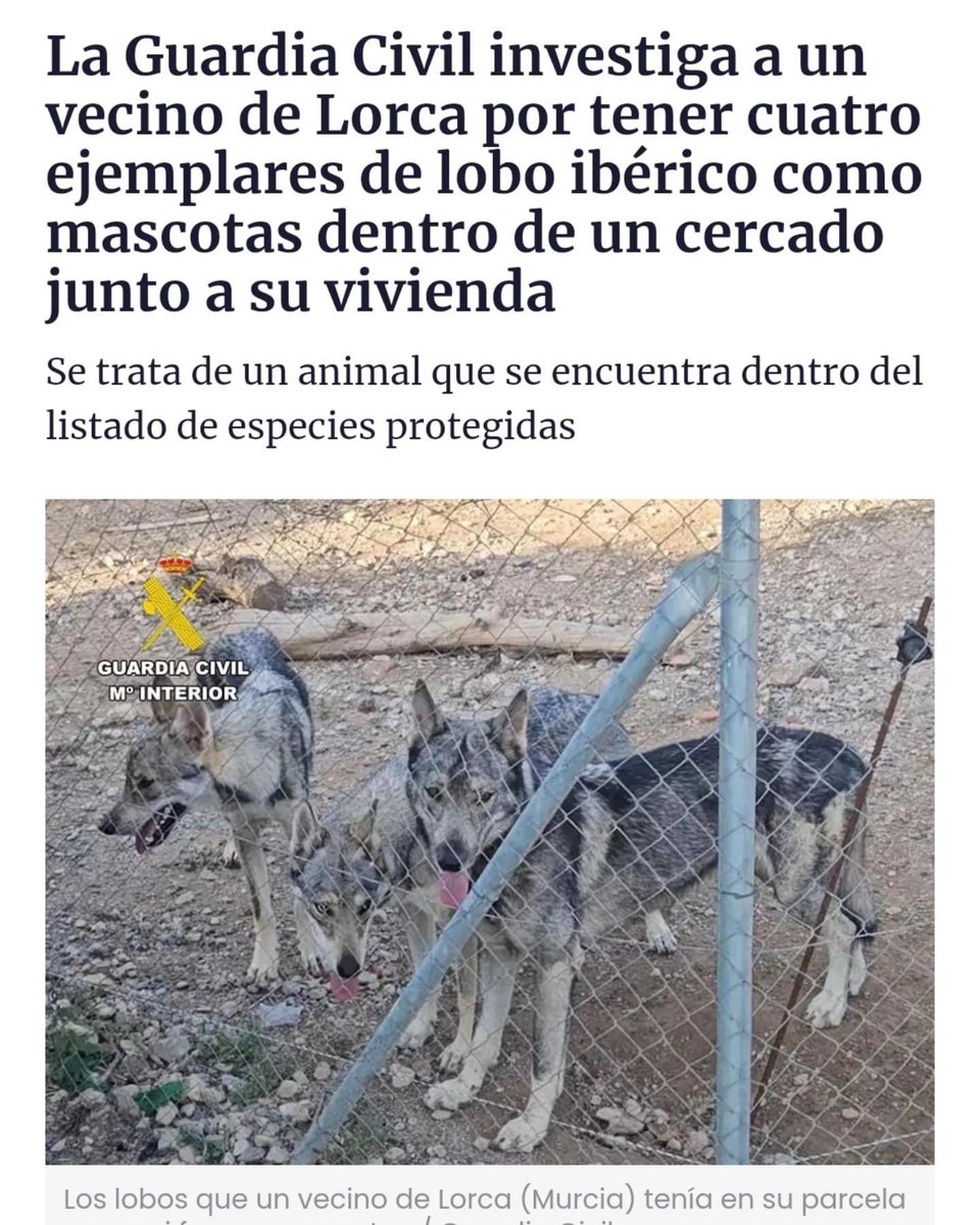 politicstrash's tweet photo. y que no haya ni uno normal https://t.co/5uQaTjvCn7