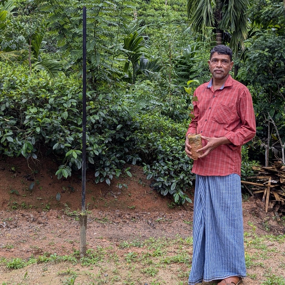 #SriLanka's economic crisis hit a lot of people hard.

But for H.G. Milton, its impact was limited because of the support he received from an <a href="/IFAD/">International Fund for Agricultural Development</a>-financed project to improve his #tea plantation.

When you #InvestinRuralPeople, you invest in resilience &amp; long-term development.