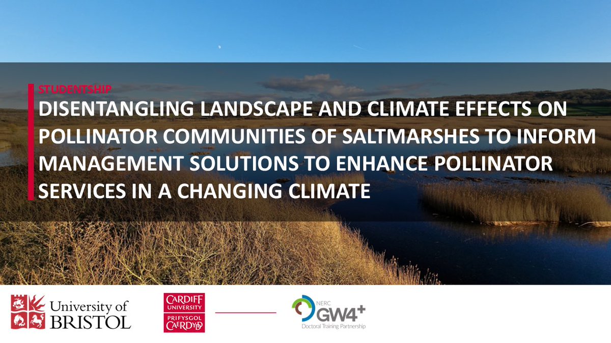 Functional_Bio's tweet image. 🐝Fully-Funded PhD🐝

Interested in saltmarsh management and ecosystem service provision? 

Fully-funded PhD position at @BristolBioSci and @cardiffuni 

Apply here 👉 nercgw4plus.ac.uk