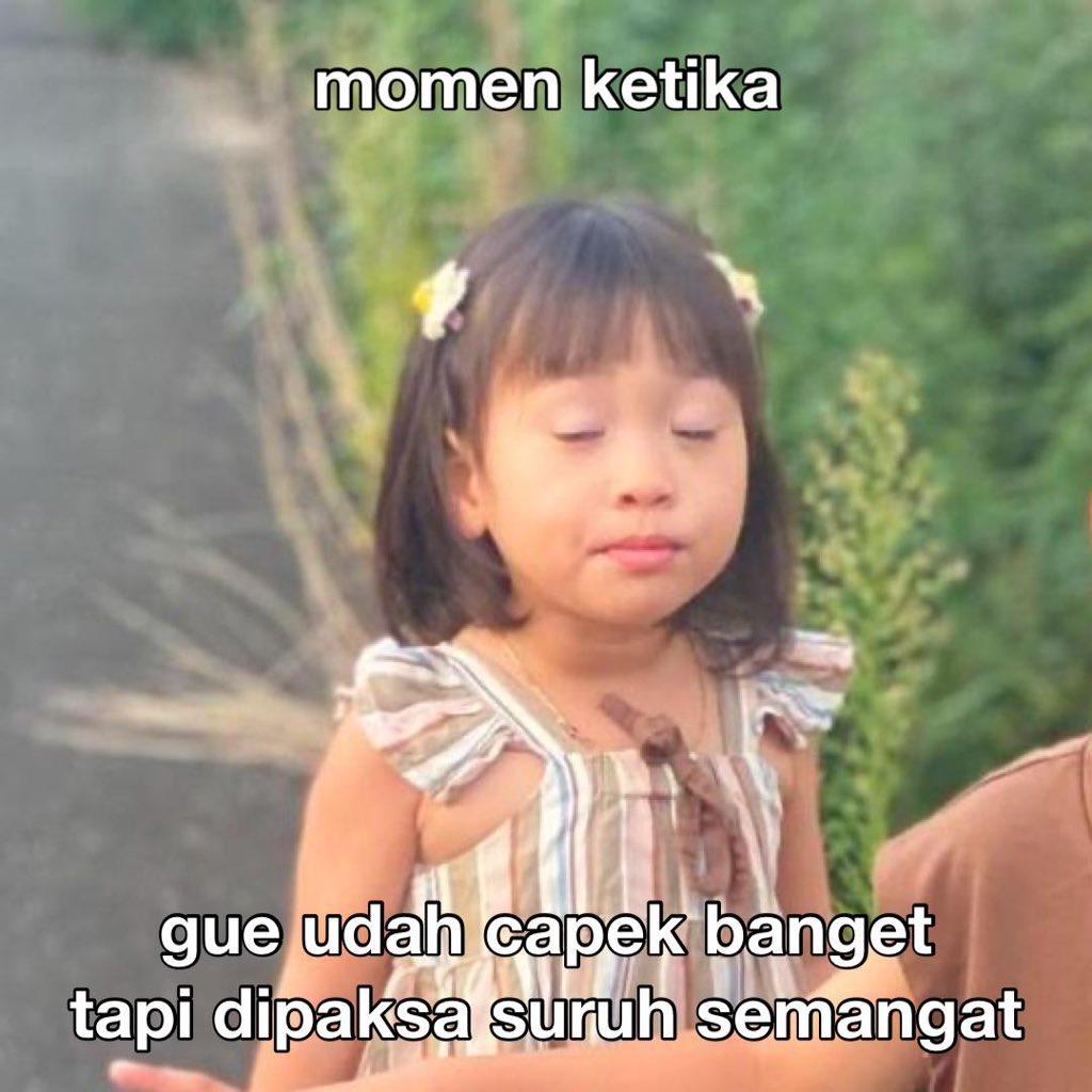 S H E L L A tweet media