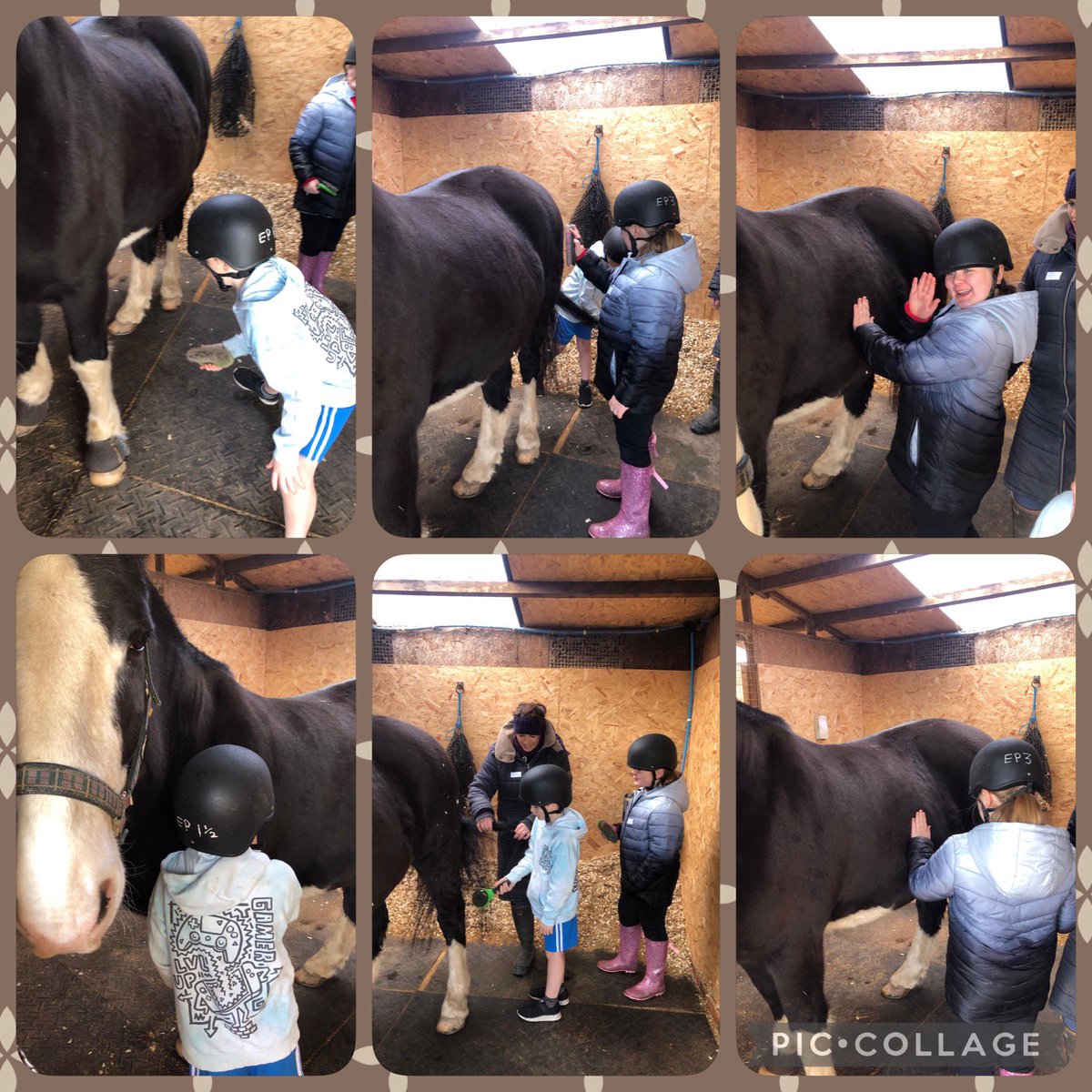 Mr Knight tweet media