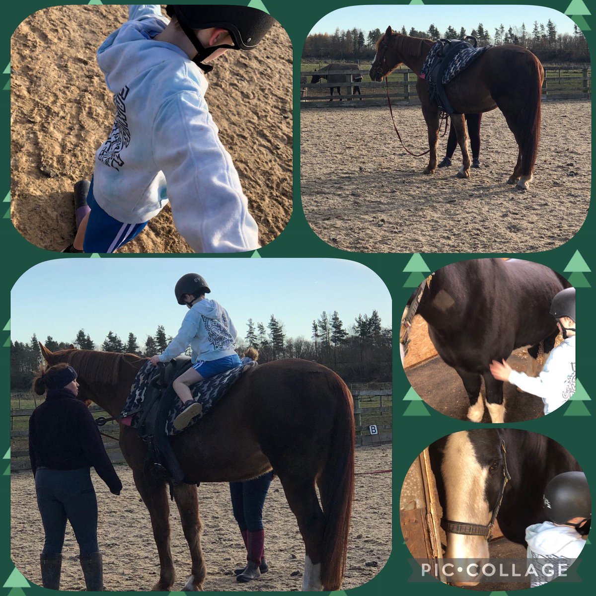 Week one of Horse riding last week in the blue room. We enjoyed meeting the horses, giving them a good brush and trying some moves 🐎🐴