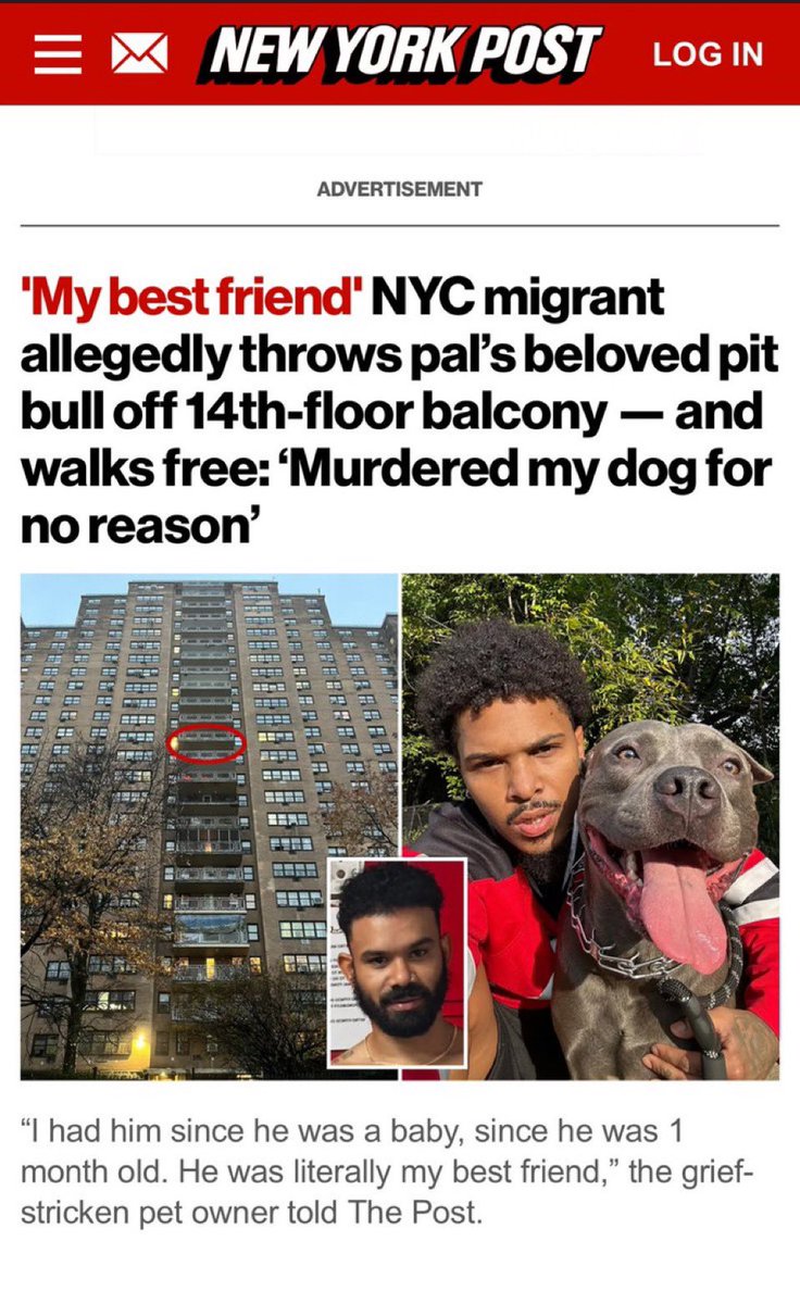 KITH_CTO's tweet photo. Having immigrants come into our country and throw dogs OFF OF BUILDINGS is unacceptable #justiceforkith https://t.co/d7X8H7eCCz