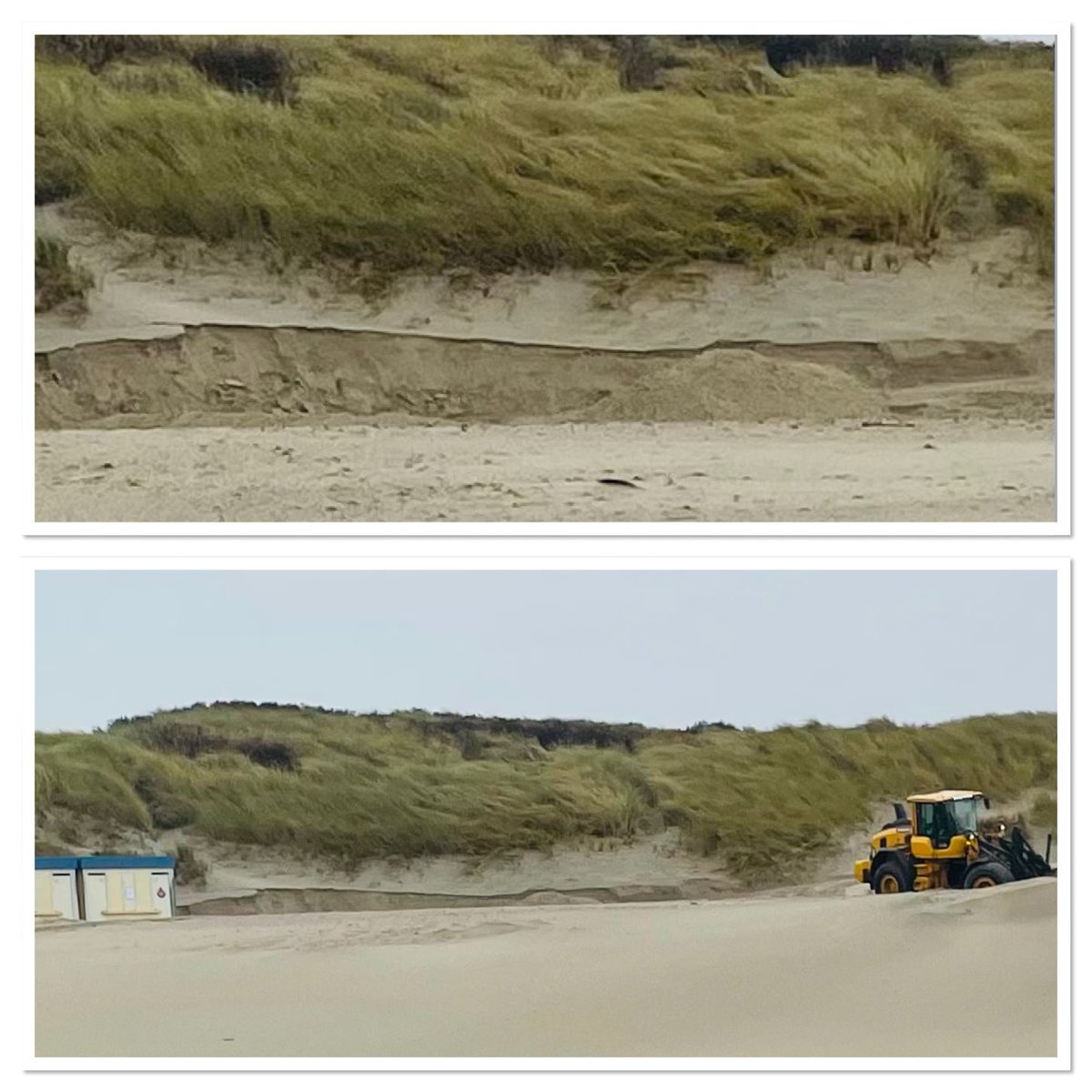 Beestenbus tweet media