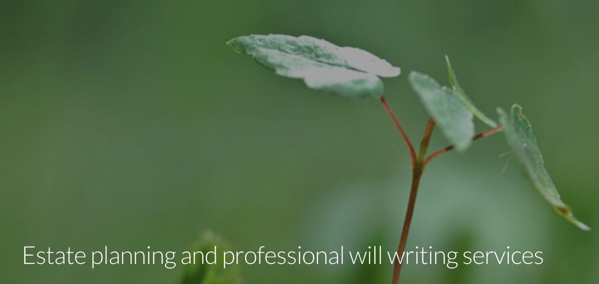 Treethorpe's tweet photo. Introducing our new Will Writing service:

Our expert team at Treethorpe is now offering professional will writing services.

Find out more here: https://t.co/yrd5ACC8QI

#willwriting #estateplanning #legacy #law #legaladvice #treethorpe #family #peaceofmind https://t.co/k96yfQc48K