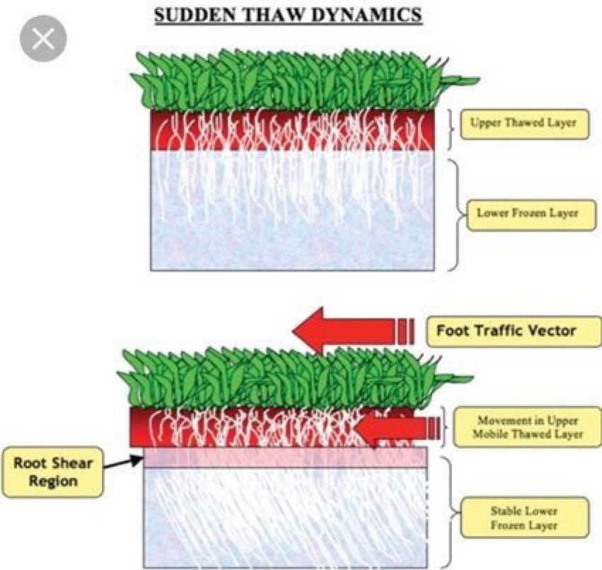 BBGreenkeepers's tweet photo. https://t.co/ODlnATQSa1