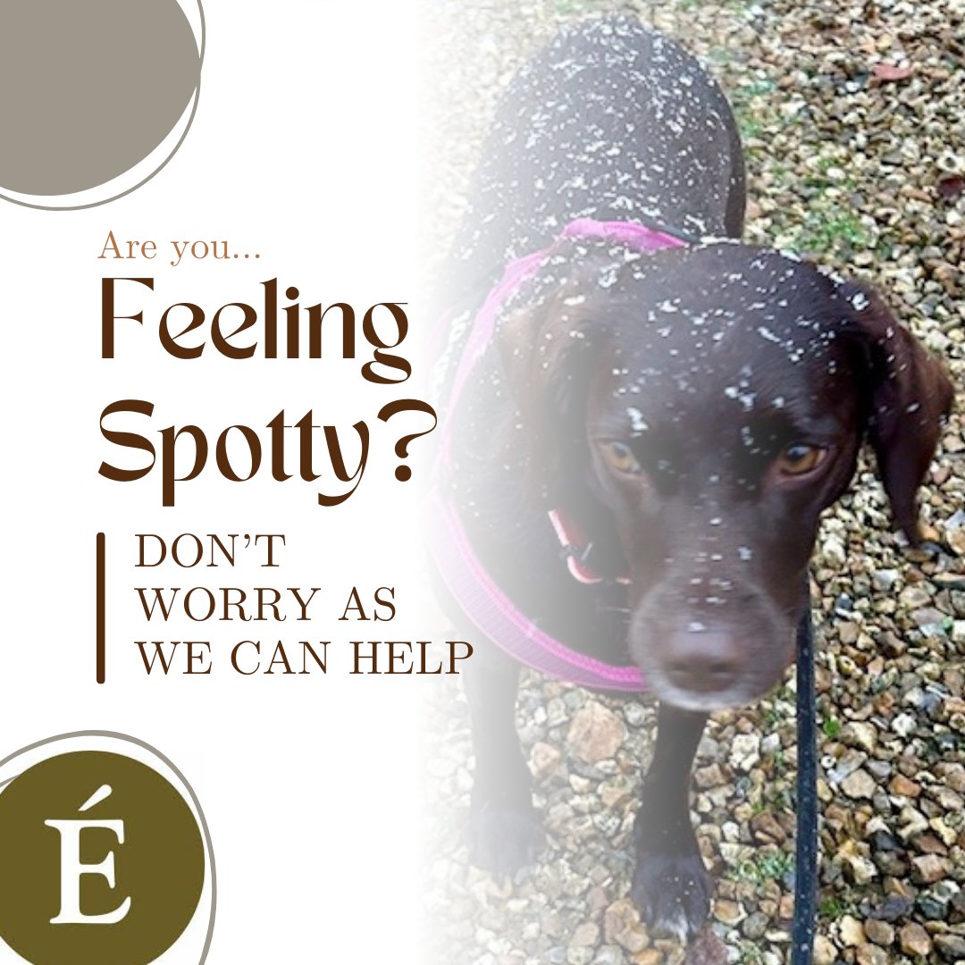 TheSkinsmith's tweet image. What a weekend! Snow, wind &amp;amp; rain! Now although Maples spots are easy to get rid of, so could yours! Our Clear Skin &amp;amp; Acne Advanced ranges help treat, prevent &amp;amp; heal spots up #clearskin #acneadvancedtreatmentsystem #pimples #acne #feelingspotty #salicylicacid #probiotics #teatree