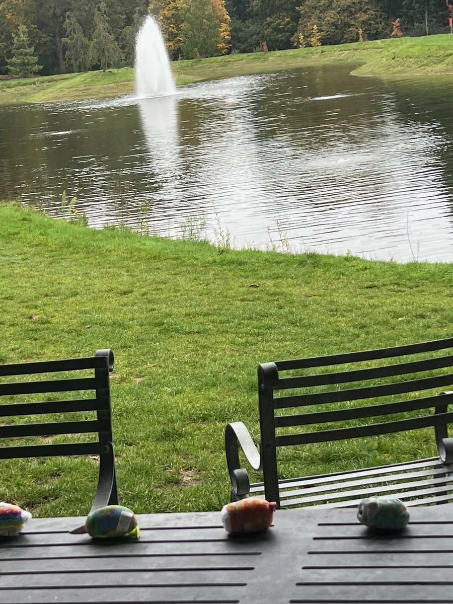 For those of you that know artist/poet <a href="/stevenjfowler/">SJ Fowler</a>, you'll be aware he has a penchant for soft toys. His latest collection has escaped into the wild for the Sets, Series and Ensembles exhibition. Ginny Reddick is our First Responder, read her words at collectconnect.blogspot.com/2024/11/s-j-fo…