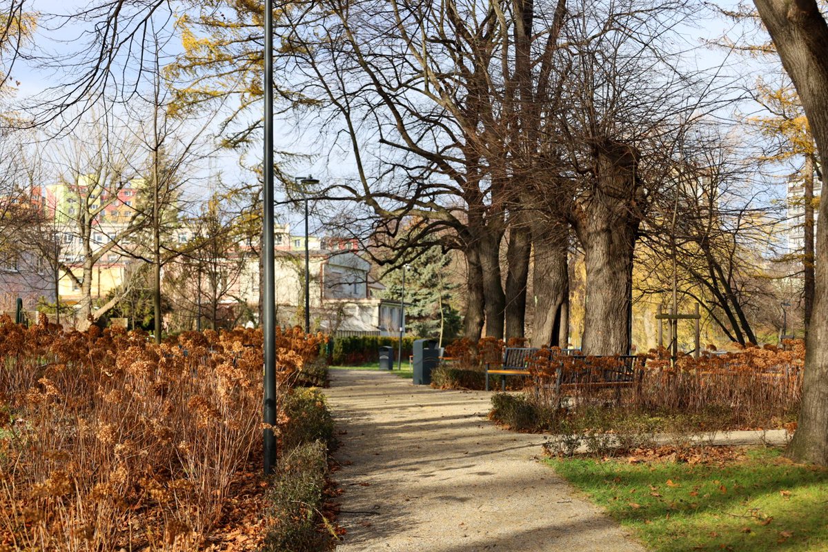 BartekPaulus's tweet photo. Dziś to park miejski przy ulicy Głównej w Wałbrzychu. Kiedyś był tu cmentarz ewangelicki. Przypominać o tym ma odsłonięta dziś tablica. Co ciekawe, alejki parkowe pokrywają się z tymi na dawnym cmentarzu. https://t.co/ZgGJbyRJGt