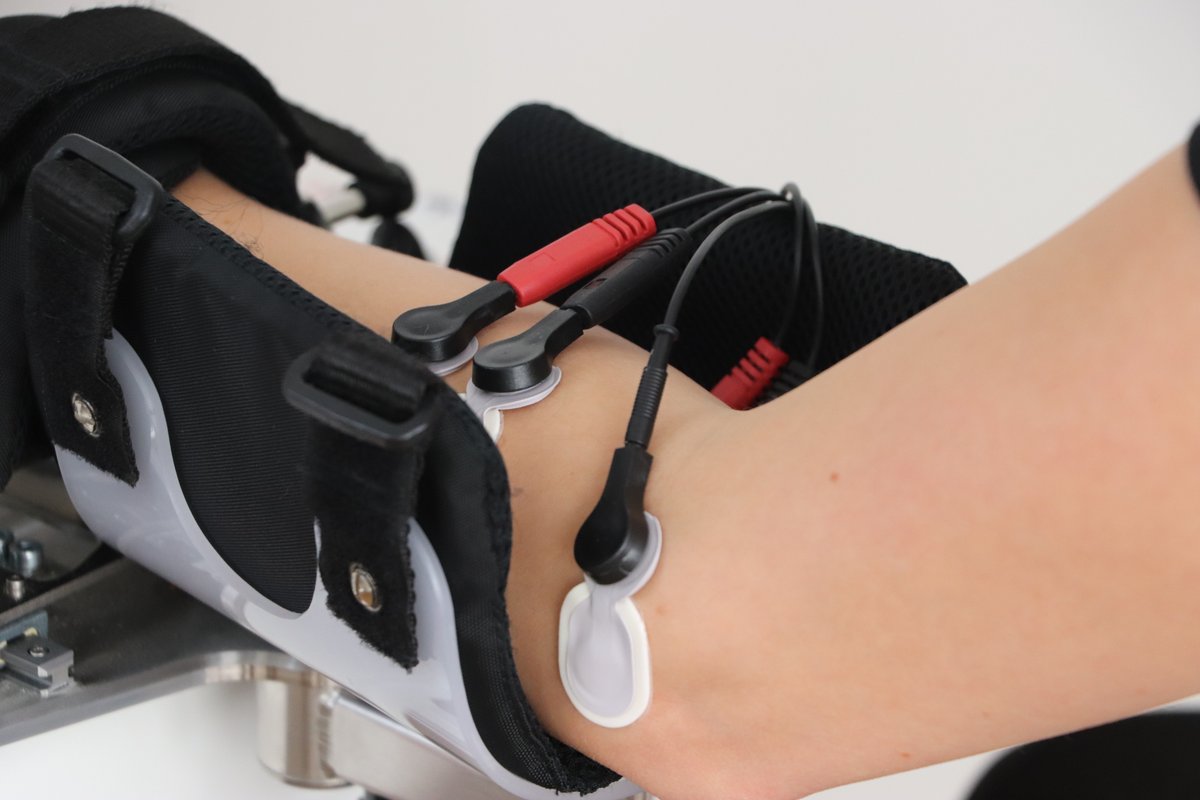 NeuroRehab tweet media