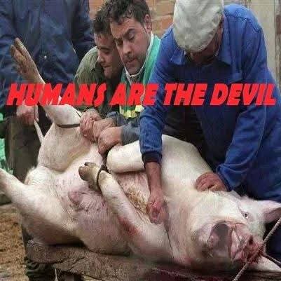 #RIP97 (formerly #JFT96) Ⓥ tweet media