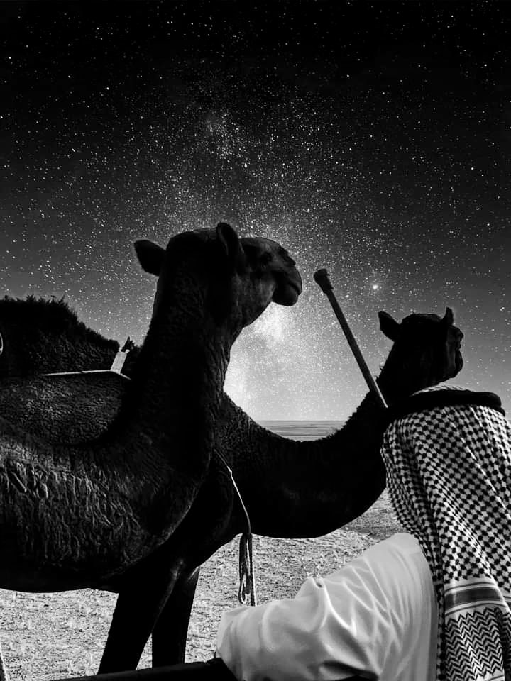 oii7x_'s tweet photo. الله من عينٍ تزايد حزنها
والقلب من صكات الايام مسرور

من شوفتي دارٍ تغير وطنها
من عقب ماني داله القلب مسرور

دنو لي الحمرا ومدو رسنها
هاتو ذلولي وانسفو فوها الكور

يامحلا المسلاف باول ضعنها
مستنجبين الخيل يبرا لهن خور https://t.co/rLBuxL2JTe