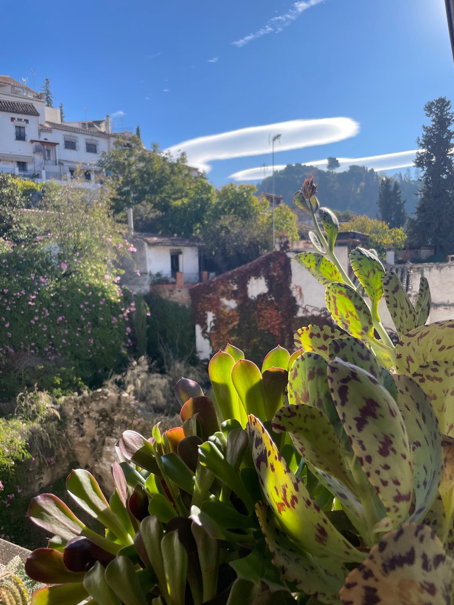 Zora Jones (@misszorajones) on Twitter photo 