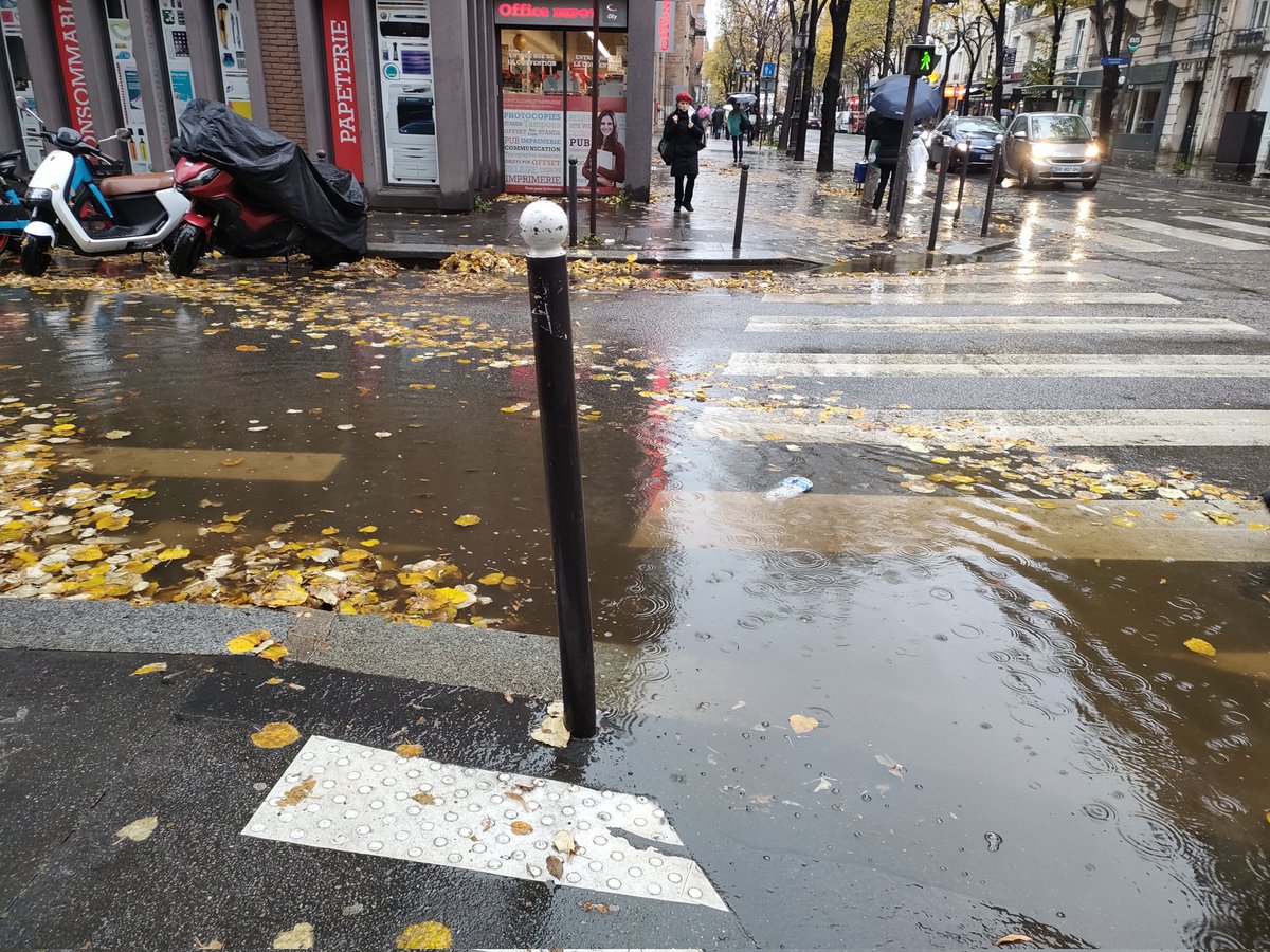 Ingrid Zerbib tweet media