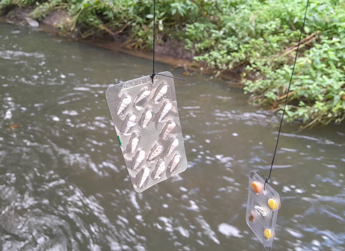 Stella Tripp's packets hang over a murky river, a lure or an offering to whatever lies in the waters below. This is the second work from Stella in the Sets, Series and Ensembles exhibition. Dean Reddick finds inspiration today, read his words at collectconnect.blogspot.com/2024/11/stella… #publicart