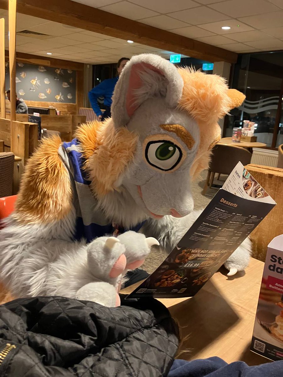 Flange the Station Cat tweet media
