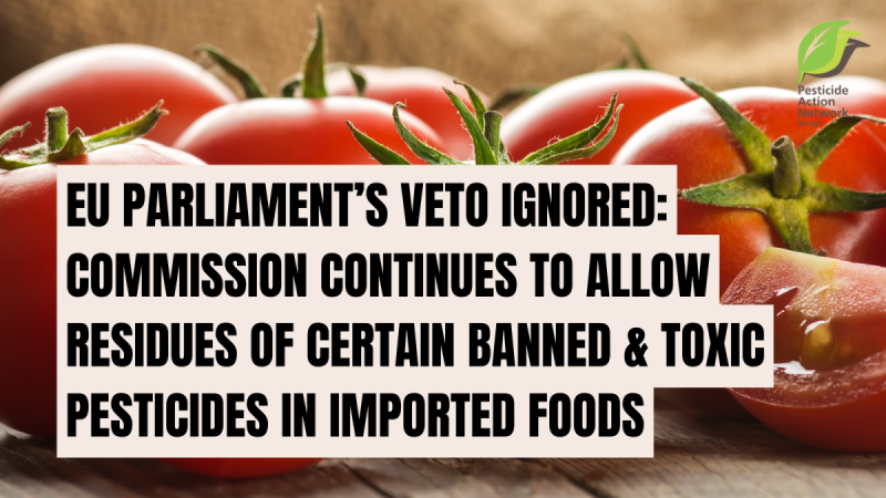 EuropePAN's tweet photo. The @EU_Commission is ignoring an EU Parliament veto. Last September 2024, the @Europarl_EN took a strong stand by vetoing regulations that allowed residues of three toxic EU-banned #pesticides in imported food products.
https://t.co/gFFWsLFskT https://t.co/ryBufHoKZ6