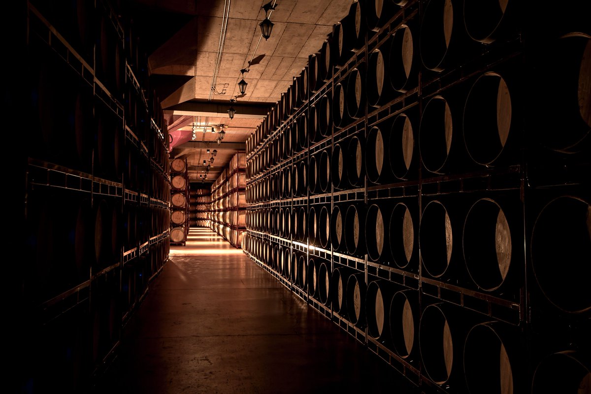🍷 En Bodegas Orube cuidamos cada detalle de la crianza en barrica para nuestros vinos de Rioja Alavesa.

Cada barrica aporta matices únicos, añadiendo carácter y personalidad a nuestros vinos, creando una experiencia inolvidable en cada copa. 🍇

❗WINE IN MODERATION