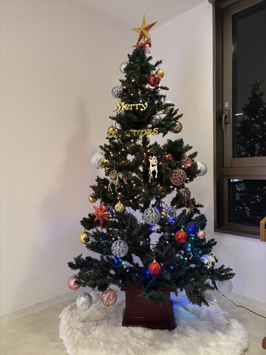 今年もクリスマスツリーの設置が完了したのでご報告になります🎅
少し早いですがクリスマス気分をお届け🎄

寒い日が増えてきたので、みなさんお気をつけください！！
