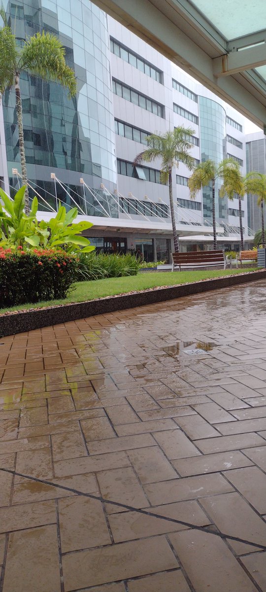 Iniciando a semana com chuva! 🙏🏽
