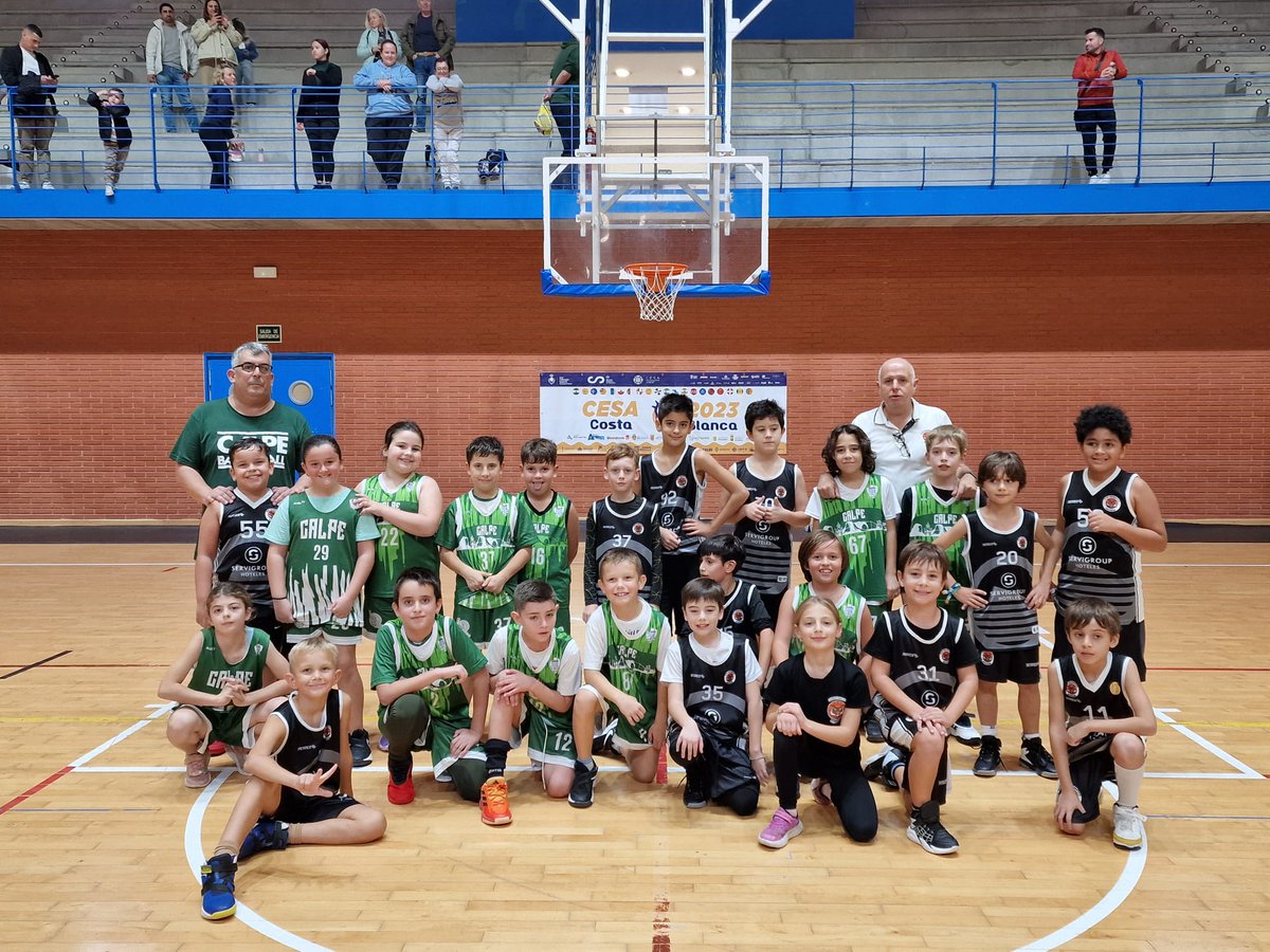 Club Baloncesto Benidorm tweet media