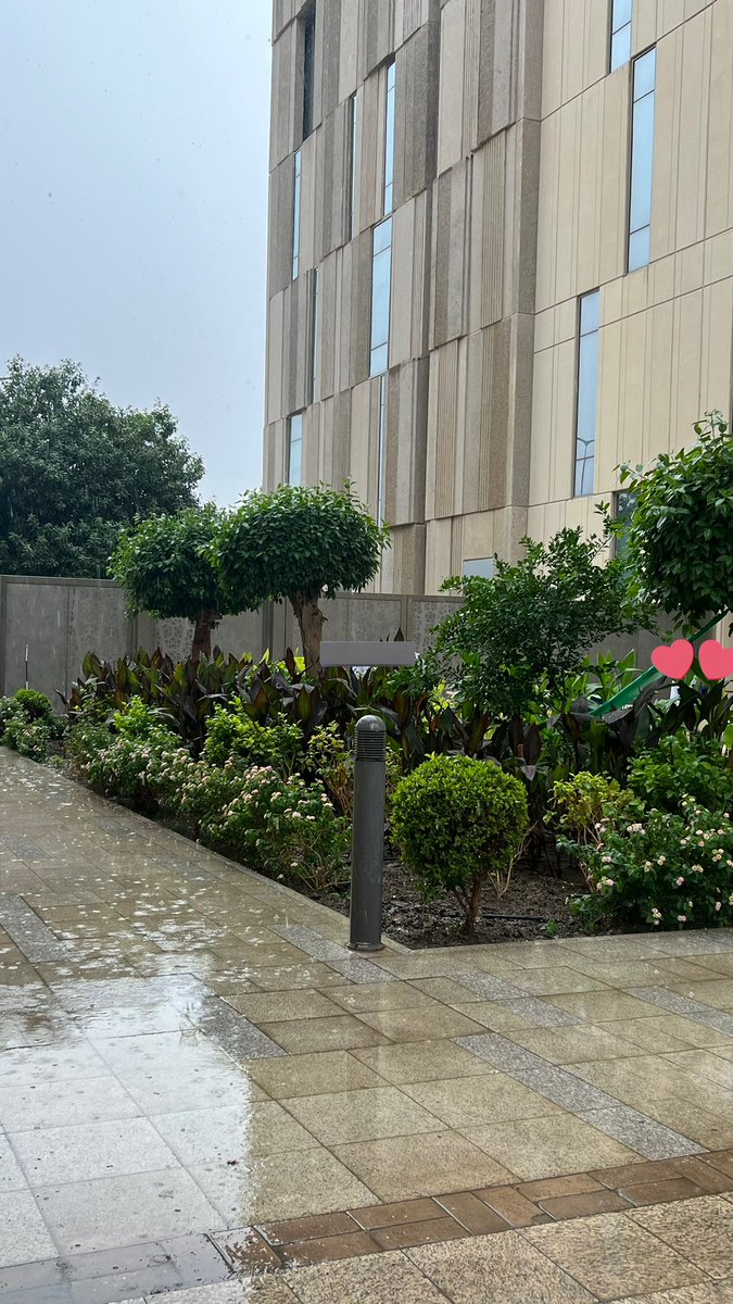 ro0ffy's tweet photo. ولك اخخ على هيك مناظر ياكساو https://t.co/9JxRZxROQ8