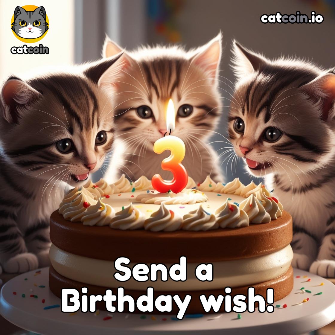 officialcatcoin's tweet photo. It's the week of Catcoin's 3 Year Birthday! Send a wish to Hoshi and Catcoin using your X profile with text, meme or video, and you could win 1 of 9 $15 #USDT prizes! Tag @officialcatcoin and use hashtags #Catcoin $CATS

Must follow official page, like + retweet this post to be eligible. Ends Wednesday, 27 at 8pm UTC