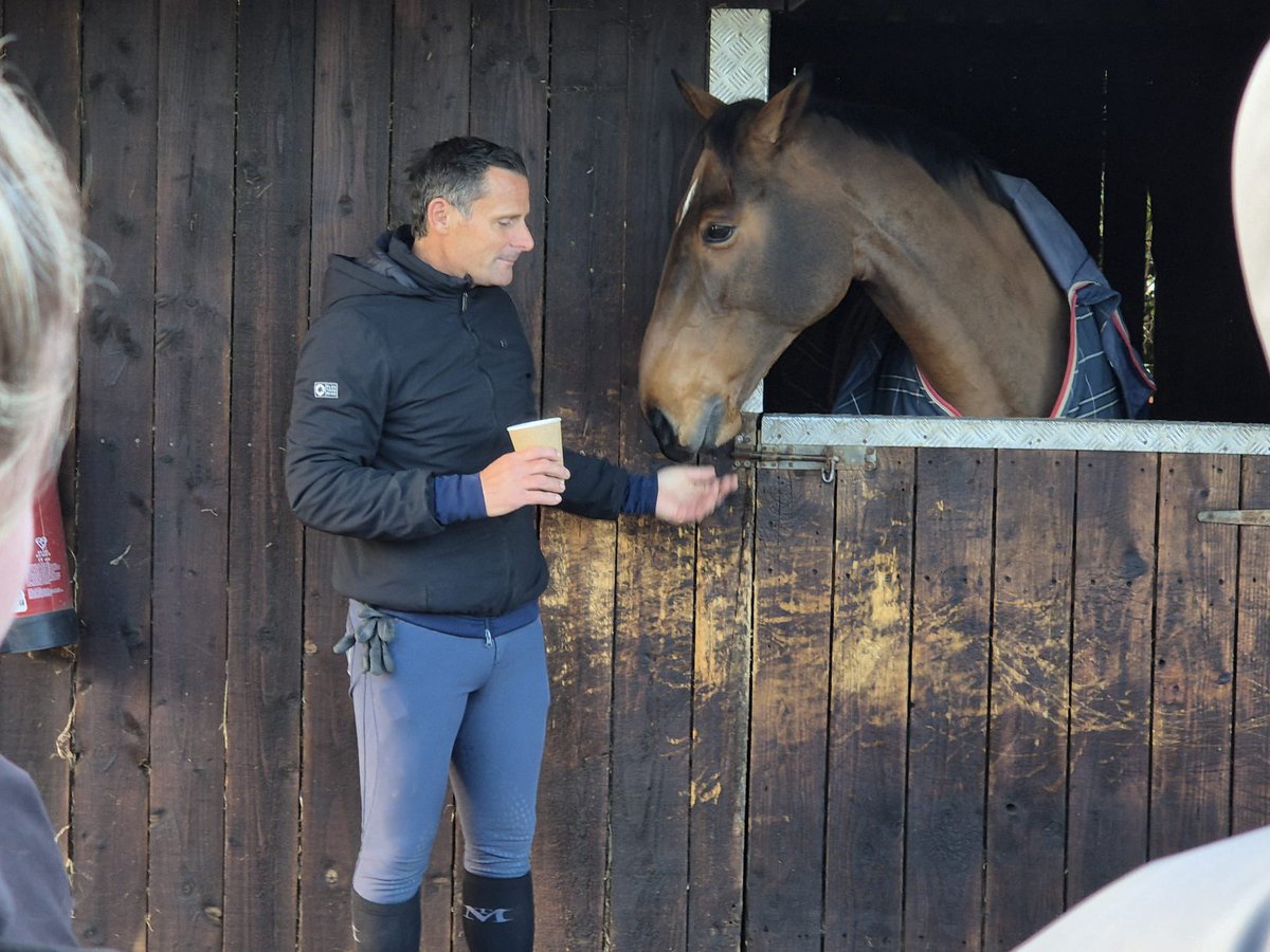 Mitchell Rees tweet media