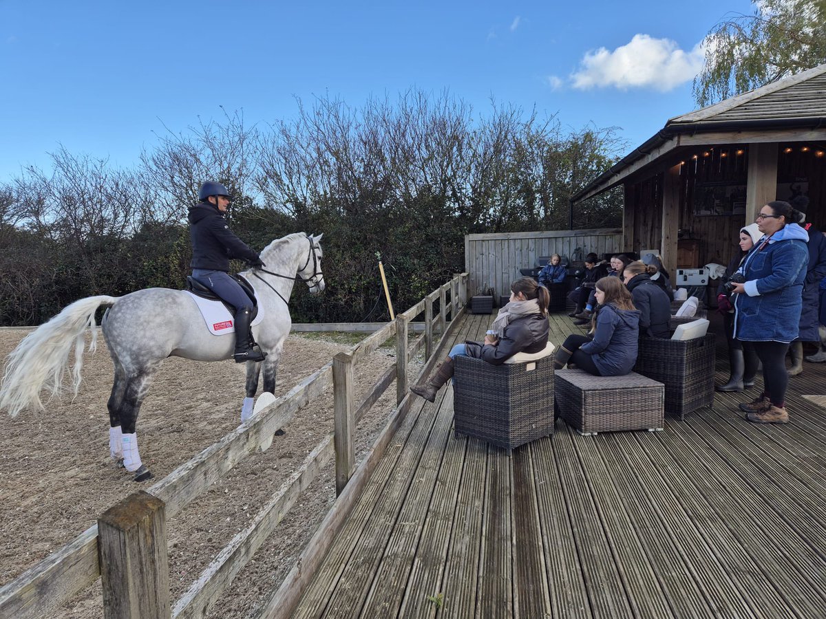 Mitchell Rees tweet media