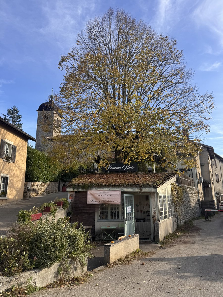 4f3ll6r's tweet image. Hafta sonu orta Çağ’dan kalma bir köy olan  #perouges u ziyaret ettim gerçekten harika bir vakit geçirdim