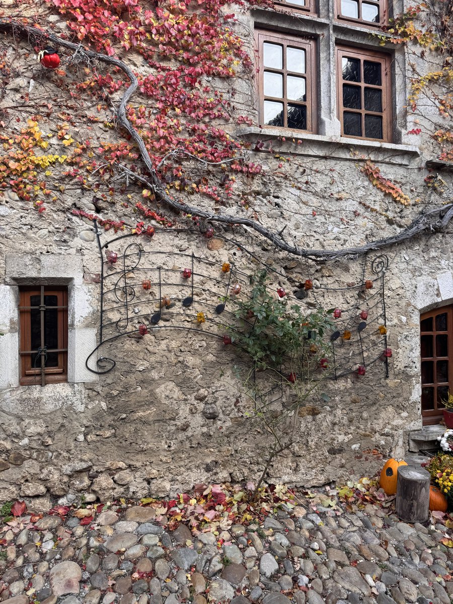 4f3ll6r's tweet image. Hafta sonu orta Çağ’dan kalma bir köy olan  #perouges u ziyaret ettim gerçekten harika bir vakit geçirdim