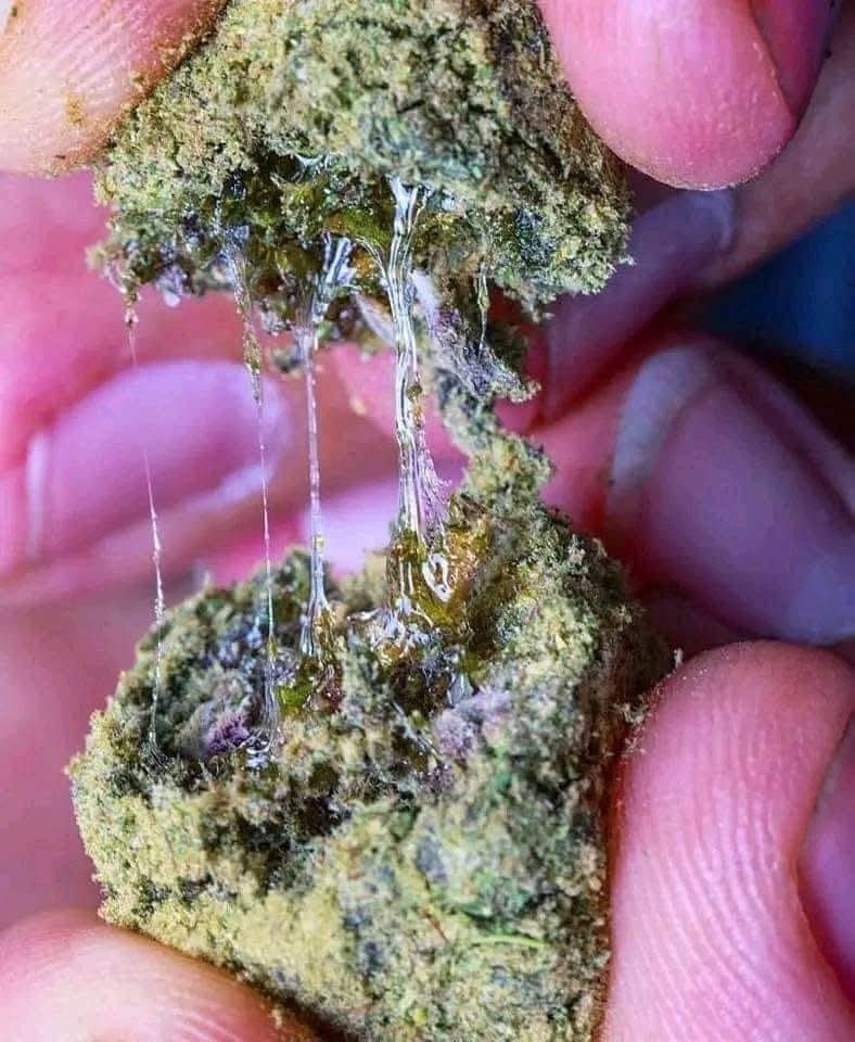 StoniesSmoke's tweet photo. Do you like Moonrocks? https://t.co/ZfNxvdc7aQ