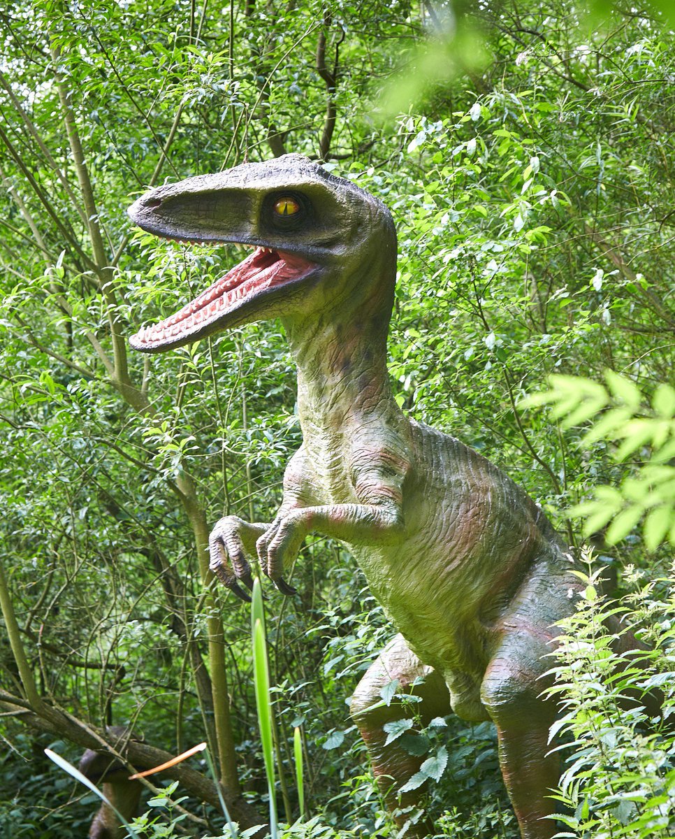 🚨Update for Monday 25th November

Due to damage and flooding caused by the recent storm, Jurassic Journey at Birdland will be closed today.

Our team are working hard to ensure everything is safe and back to normal as soon as possible.

Thank you for your understanding.