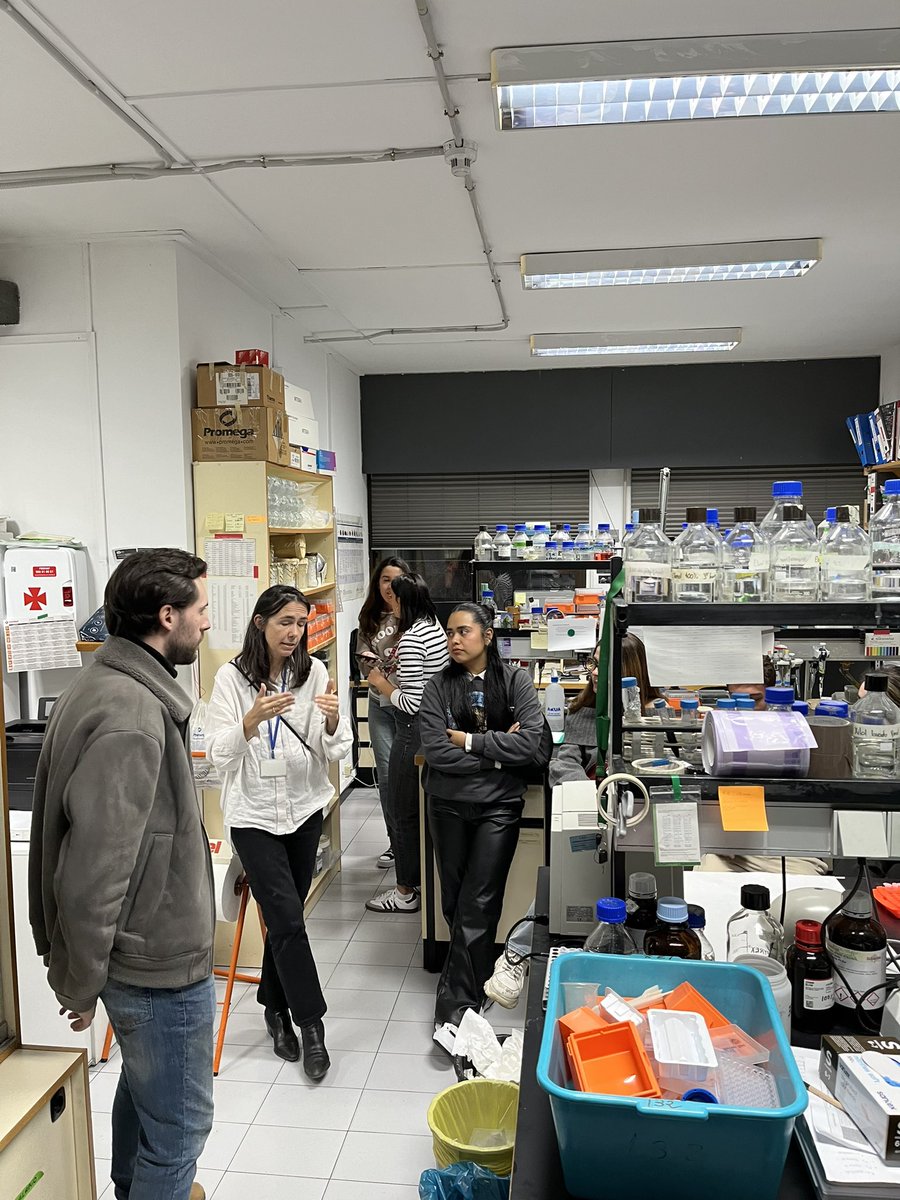 Un año más, hemos vuelto a invitar a los estudiantes del segundo año del Grado Superior en Laboratorio Biomédico y Clínico de @Ceac_fp para enseñarles cómo se trabaja en nuestro laboratorio. 

¡Muchísimas gracias por venir! 🧪🧬

#SemanaCienciaTecnología2024 <a href="/IIBmCSICUAM/">IIBM</a>