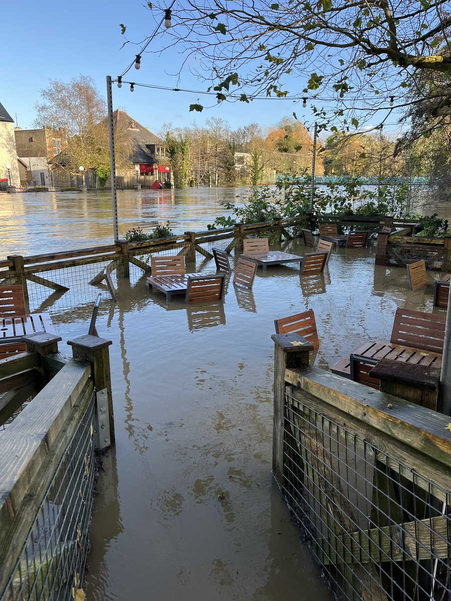 Marie J Indge tweet media